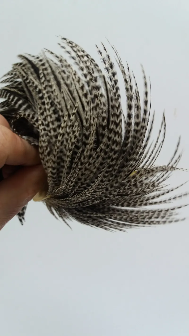 Whiting Hebert Miner Hen Cape in Grizzly Variant-5